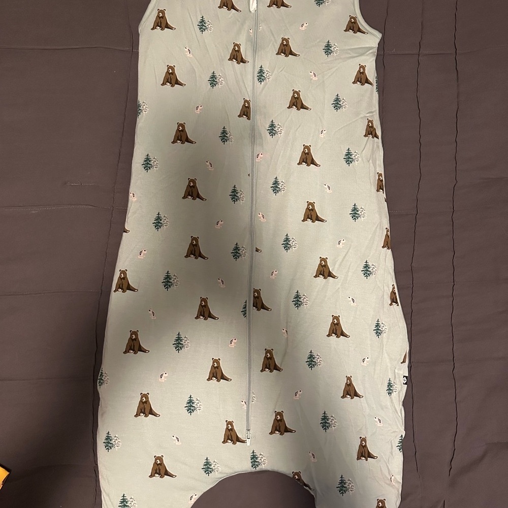 Kyte Baby Sleep Bag with Bear Print - Green